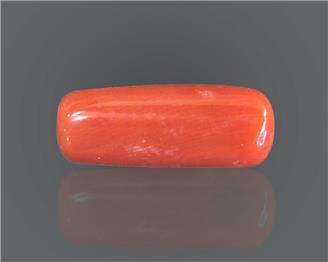Natural Coral  8.66RTS-27561